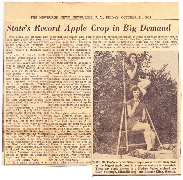 Record Crop 1955